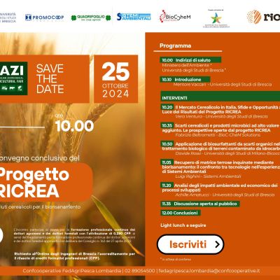 STD_Progetto_Ricrea_25_ottobre_2024_FIERA_MONTICHIARI